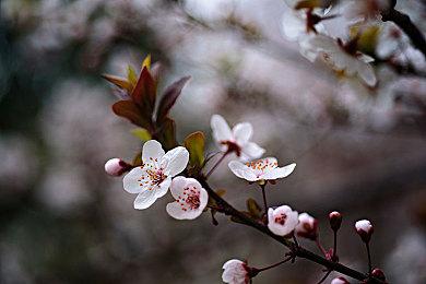《上古卷轴OL：落旗》地下城DLC现已登陆主机端